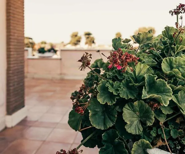 Bed And Breakfast Villa Romano Bed & Breakfast Anzio